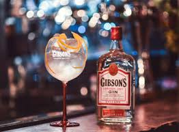 gin gibson - composition - fizz